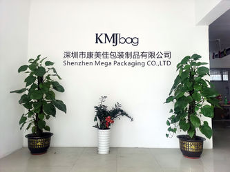 Shenzhen Mega Packaging Co.,Ltd línea de producción del fabricante